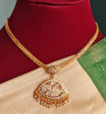 Annam attigai (Multicolor)