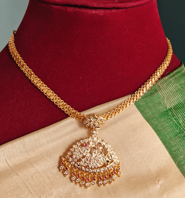 Annam attigai (Multicolor)
