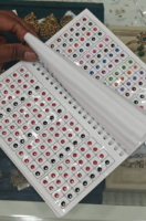 Vidhi roundstone bindi book